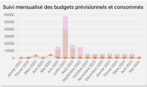 Suivi mensuel par type de dépenses