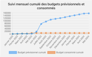 Suivi du budget cumulé